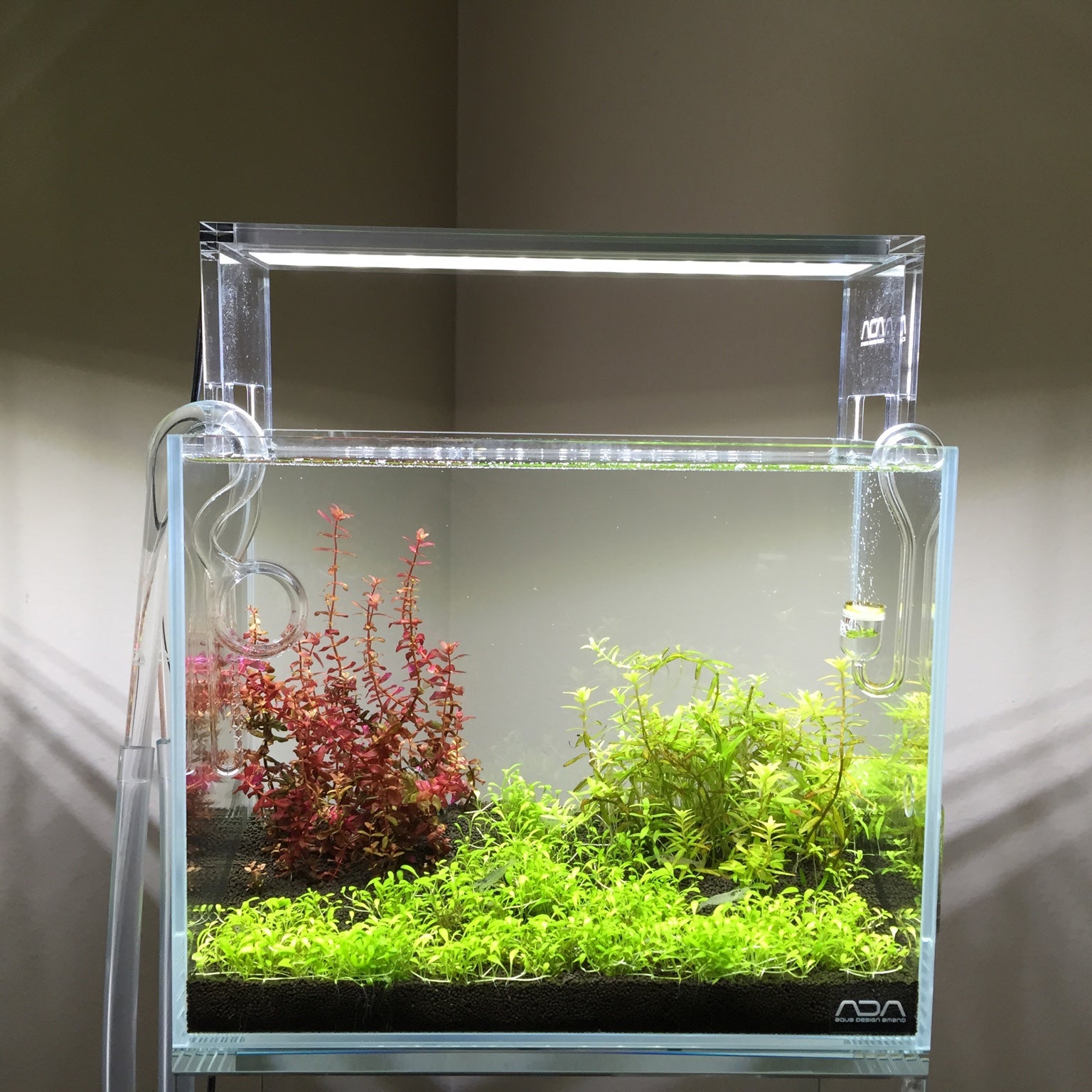 水質管理 ADA POLLEN GLASS MINI ADA POLLEN GLASS MINI 【公式通販】