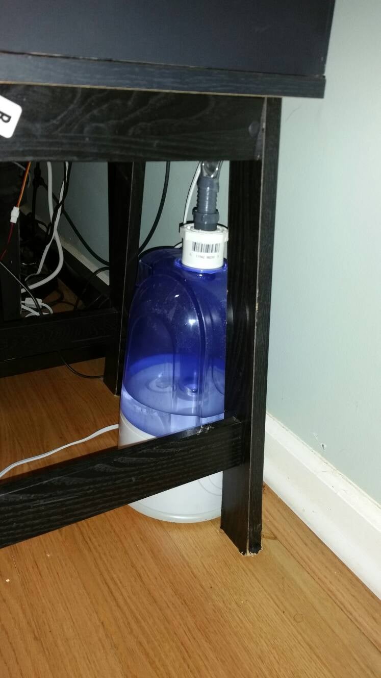 Fogger vs. Mister which one is better? Dendroboard