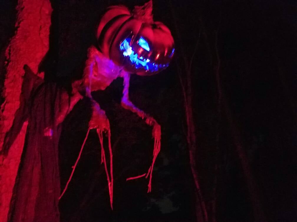 Pumpkin sentinels tutorial | Halloween Forum