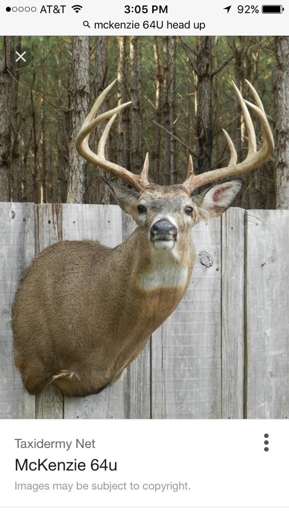 Your Mounts Archery Talk Forum