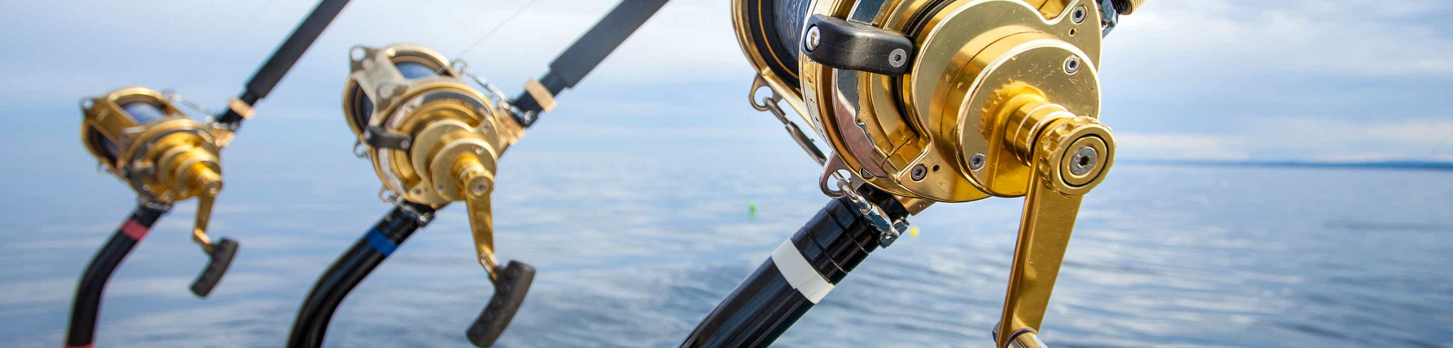 Coastal Fishing Forums: AllCoast banner