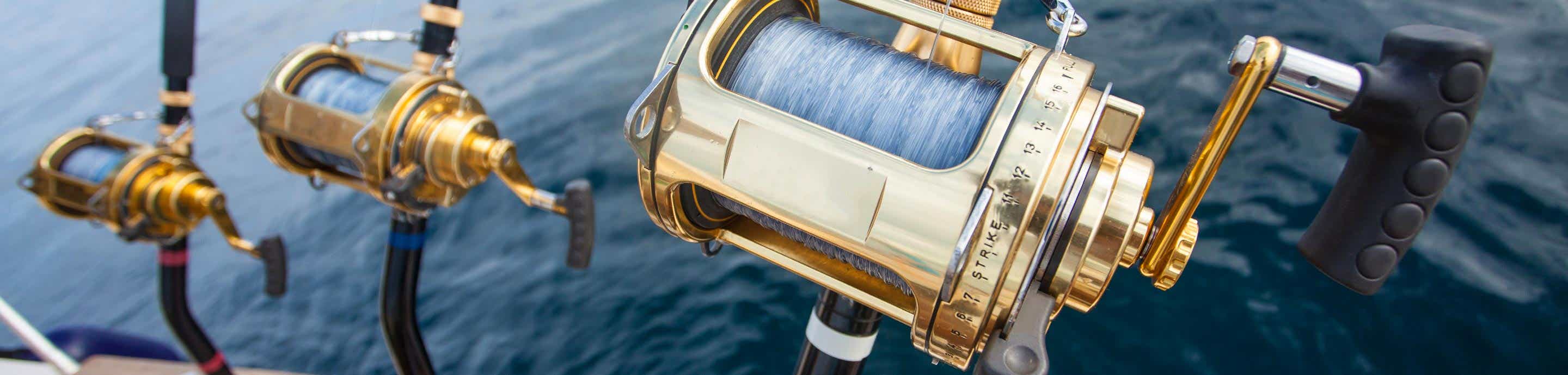 Game Fishing Forum banner