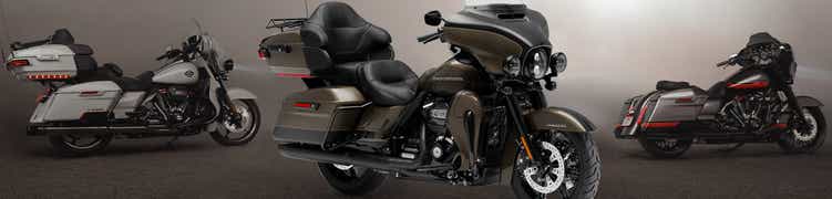 Illustration of Electric Harley Davidson Motorcycle Battery Health