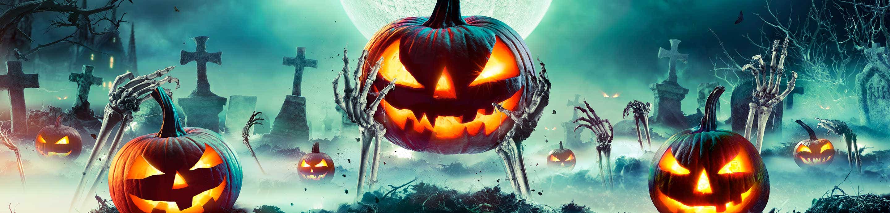 Haunt Forum banner