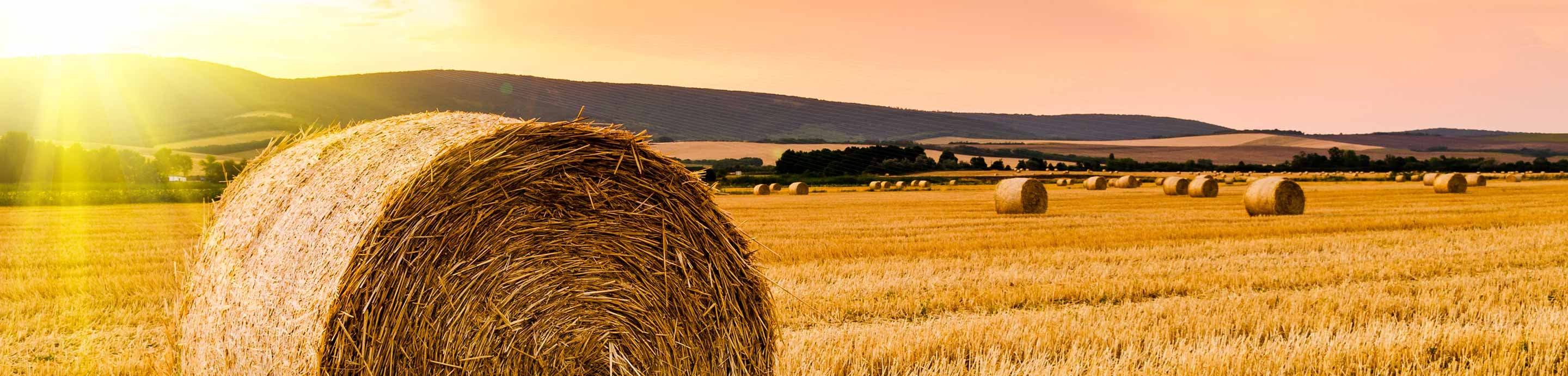 Hay & Forage Forum banner