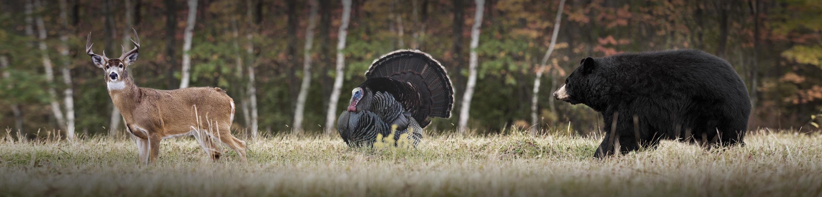 The HuntingPA.com Outdoor Community banner