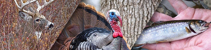 Michigan-Sportsman.com banner