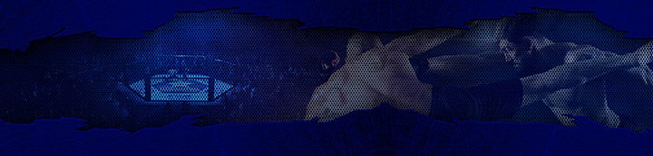 Mixed Martial Arts Forum banner