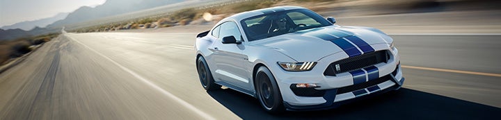 Modded Mustang Forums banner