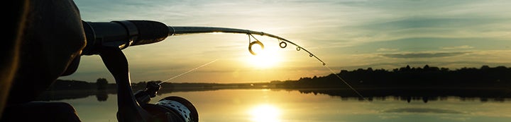 Ohio Game Fishing banner