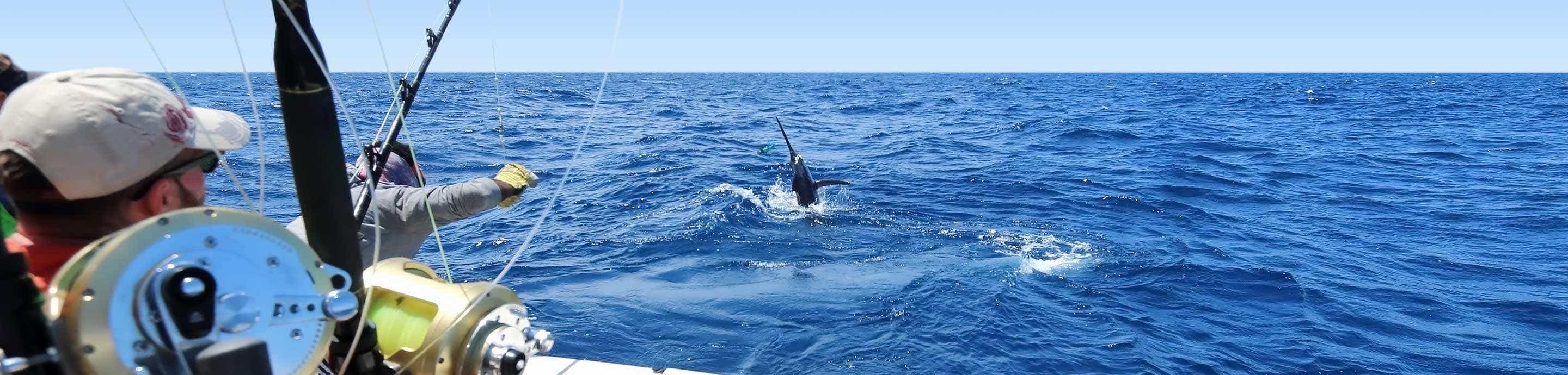 General Fishing & Boating Discussions | Pensacola Fishing Forum