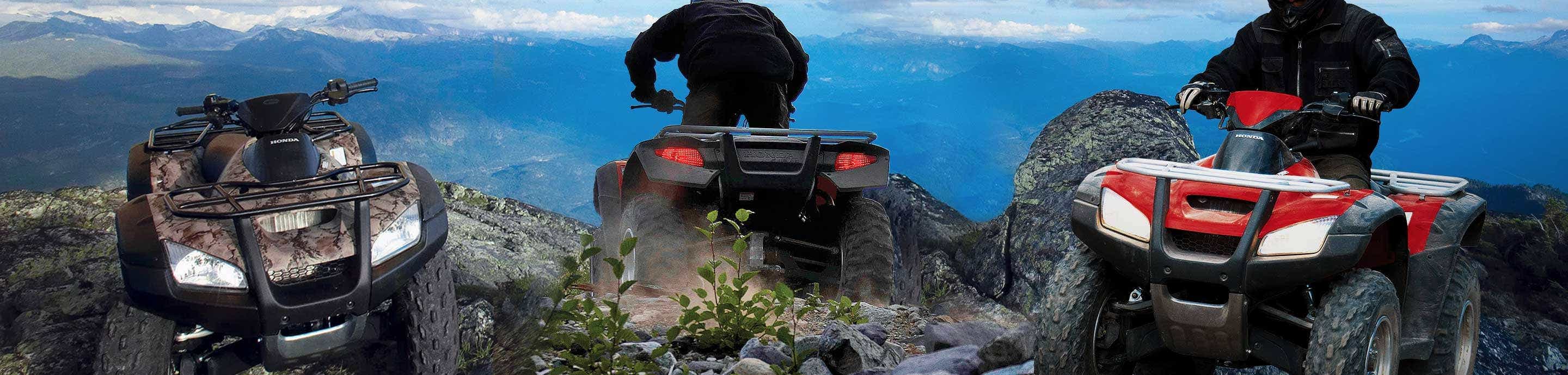 Honda Rincon Forum banner