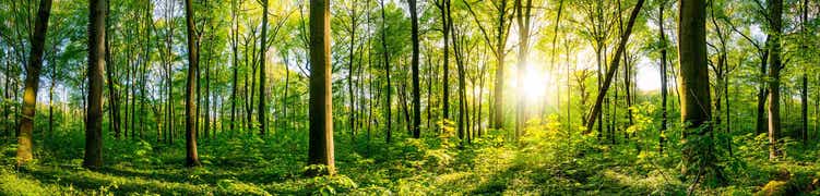 Npr Ran A Prepper Episode Last Friday