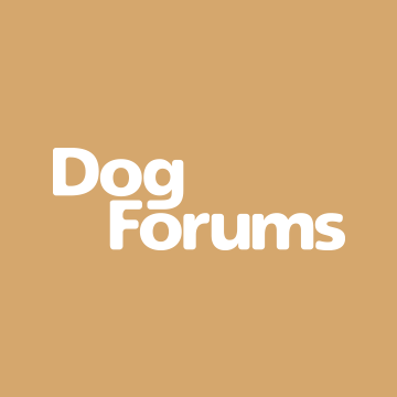 Community avatar for Puppy & Dog Forums