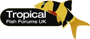 Tropical Fish Forum
