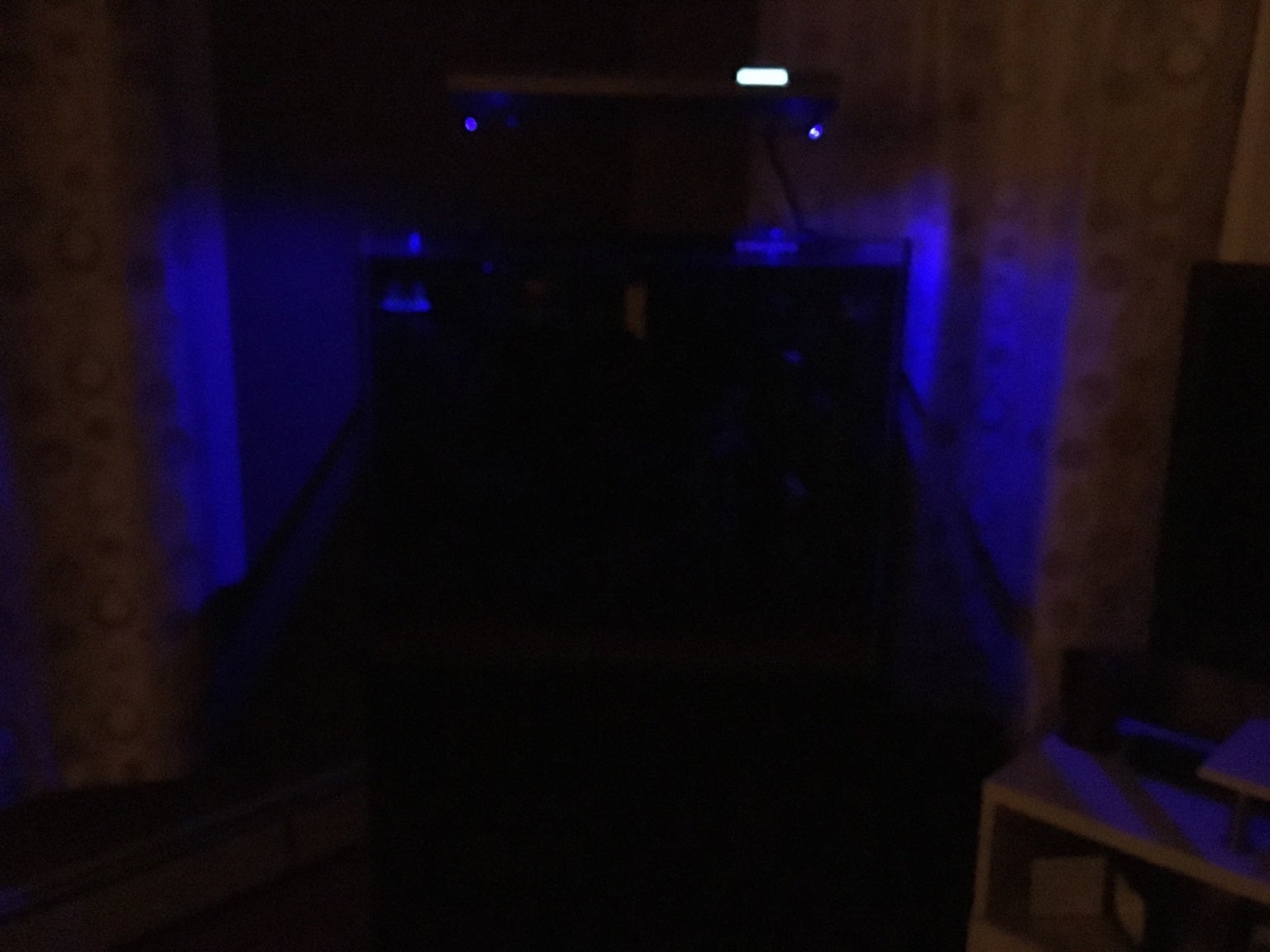 My 93 gallon build | The Planted Tank Forum