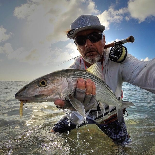 allen trout 2 fly reel - Kraken Fly Reel Series - Fly Fishing Black / 5 (11wt The 2/3/4 is ideal for small trout rods and the larger 6/7/8 is a great option for bigger trout setups or light salmon/steelhead duty Allen trout II durable? |