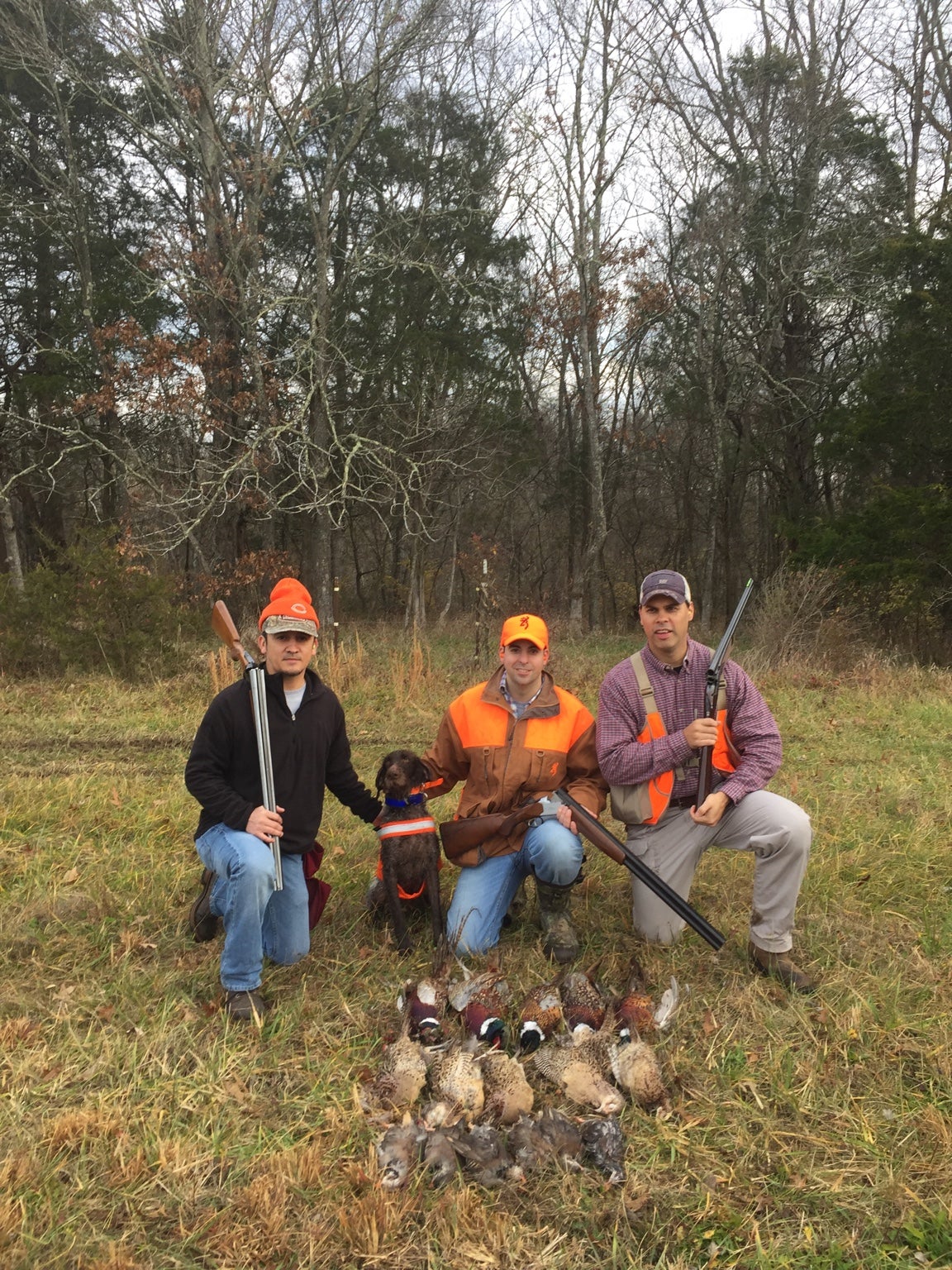 First Over Under Shotgun | 1911 Firearm Addicts