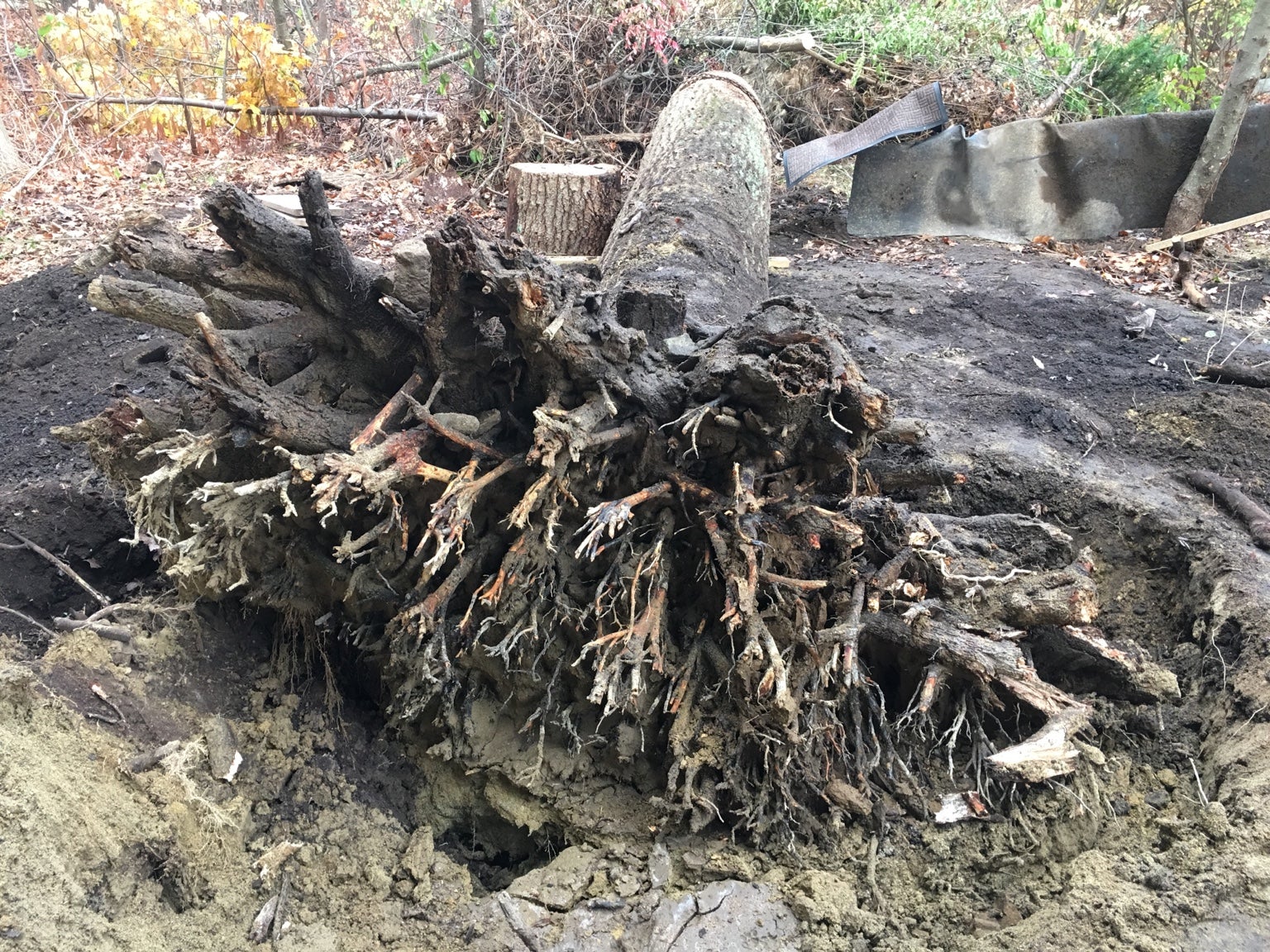 Looking to move a fallen tree | Page 2 | Green Tractor Talk