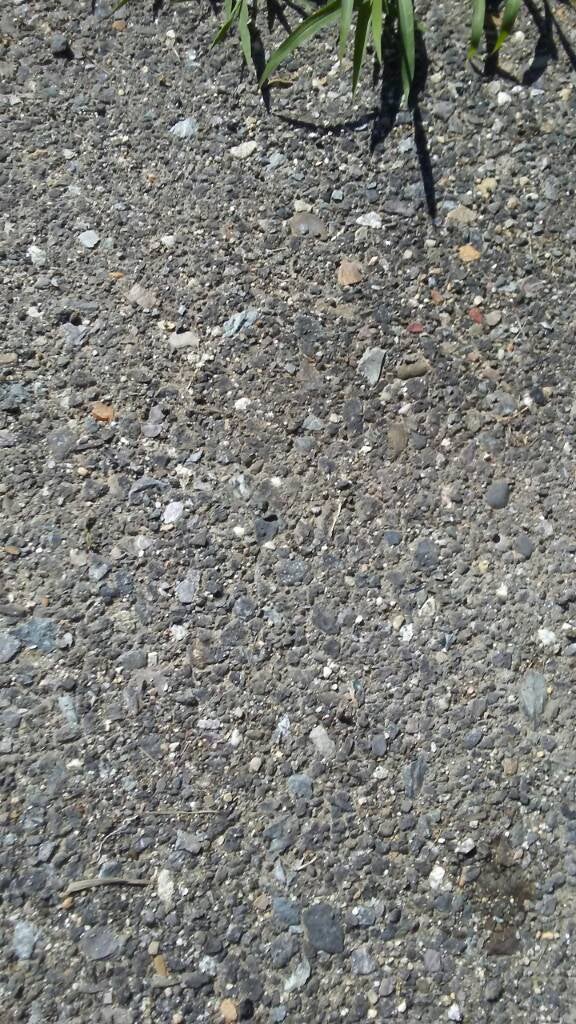 Using road millings for driveway Green Tractor Talk