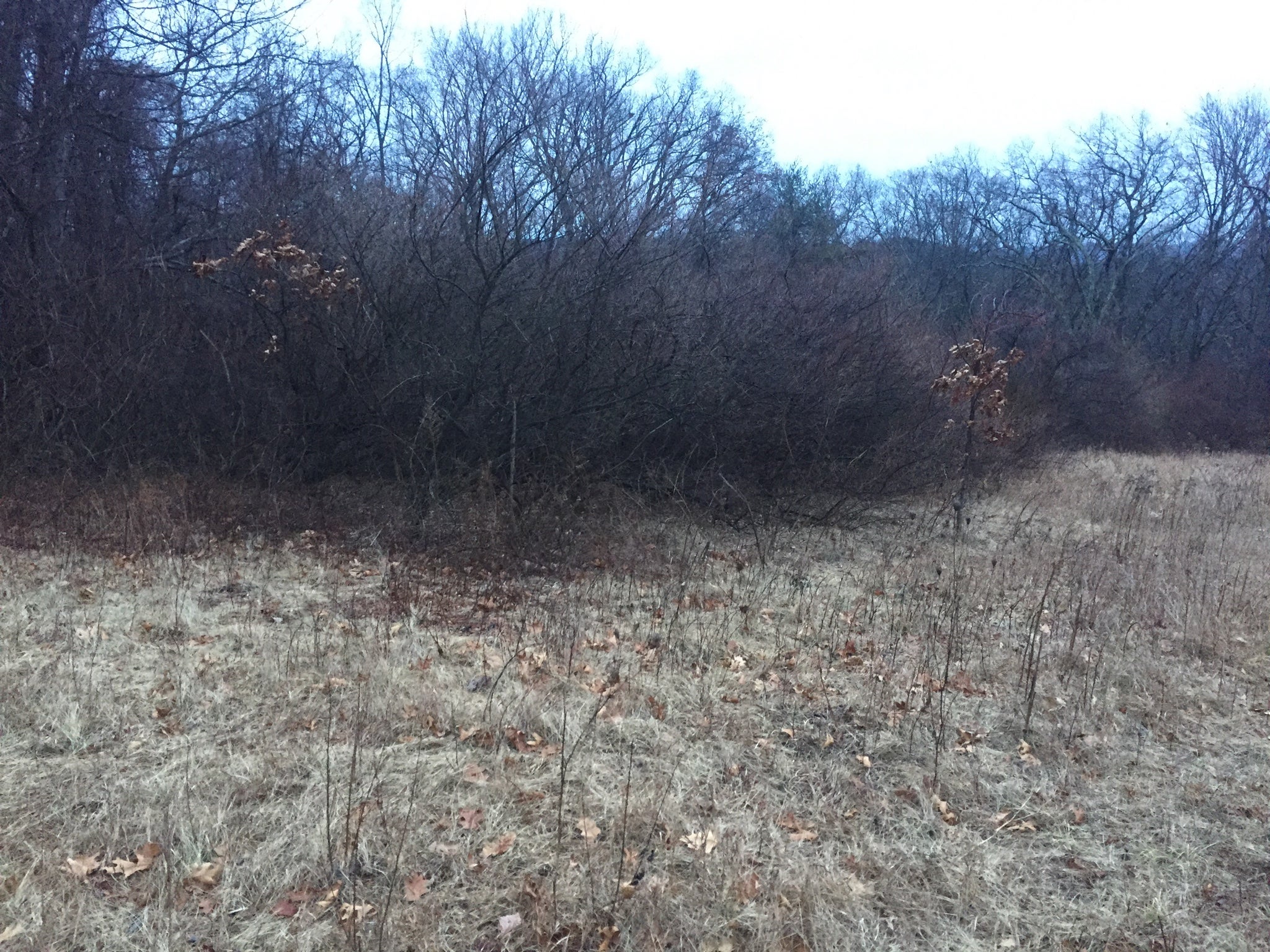 Brush Hog gear box question My Tractor Forum