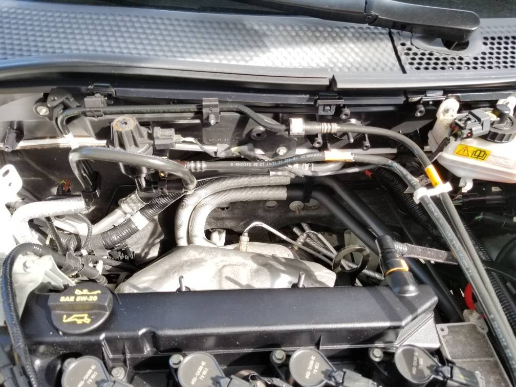 Hanging Revs Manual Transmission Focus Fanatics Forum