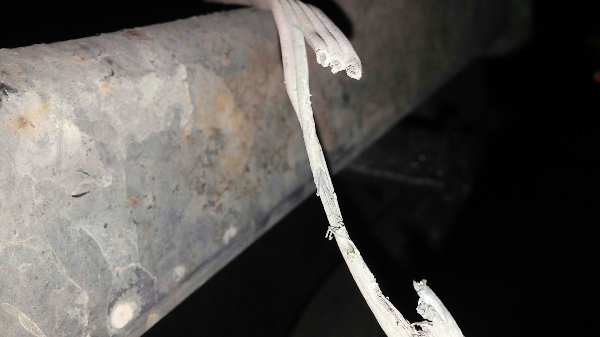 95 toyota t100 brake light fuse keeps blowing Toyota Nation Forum