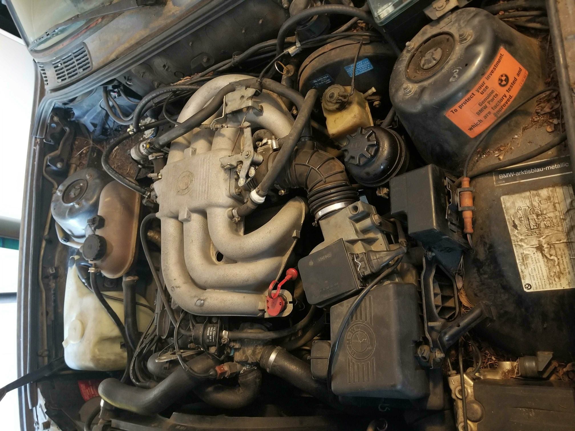 New Guy, E30 no start after sitting for years BimmerFest BMW Forum