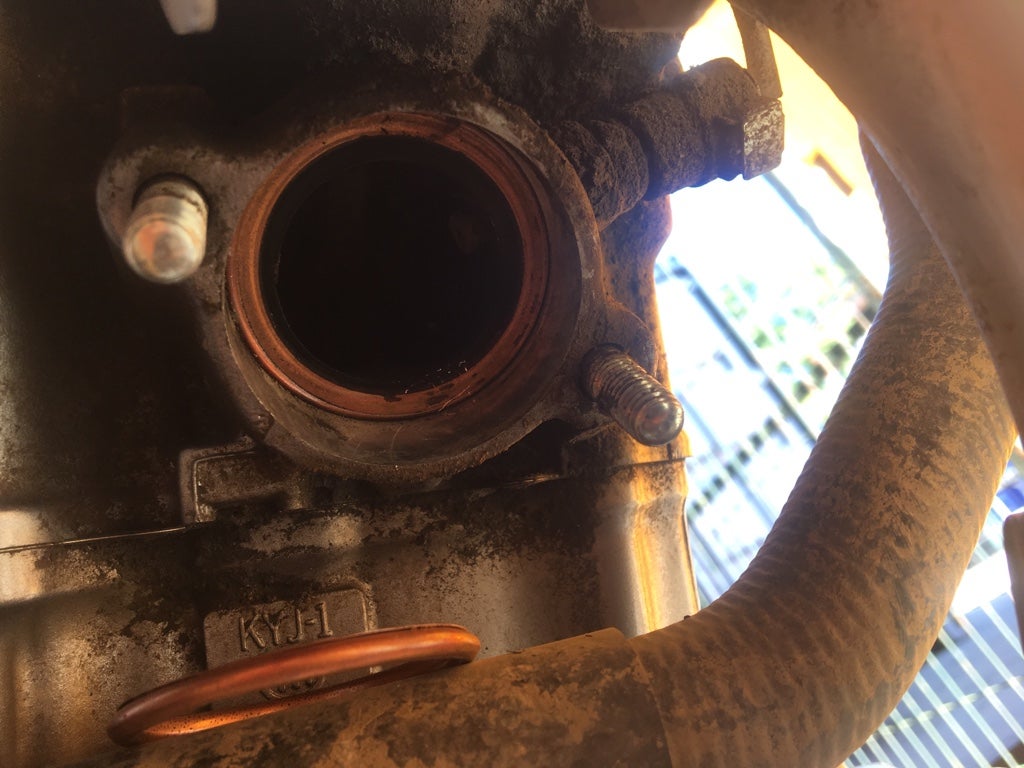 Crf250l exhaust gasket removal Adventure Rider