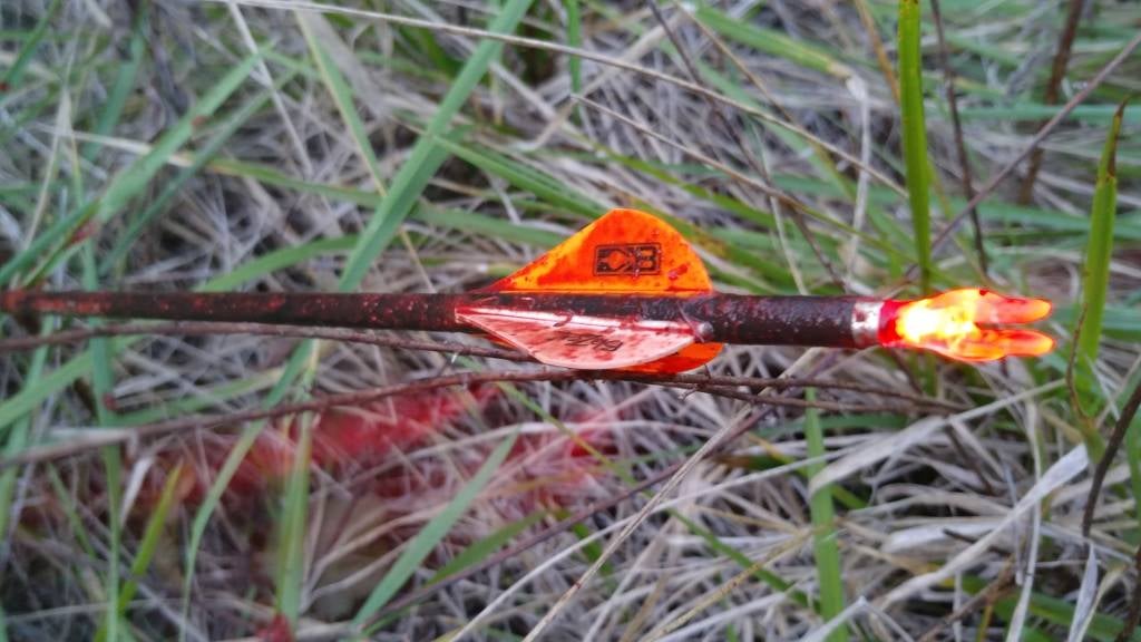Bloody arrow advice Archery Talk Forum