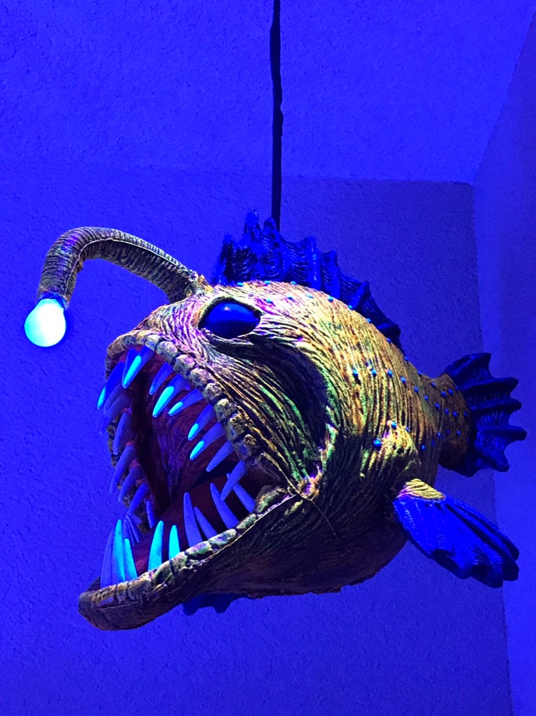 Angus the Angler Fish | Halloween Forum