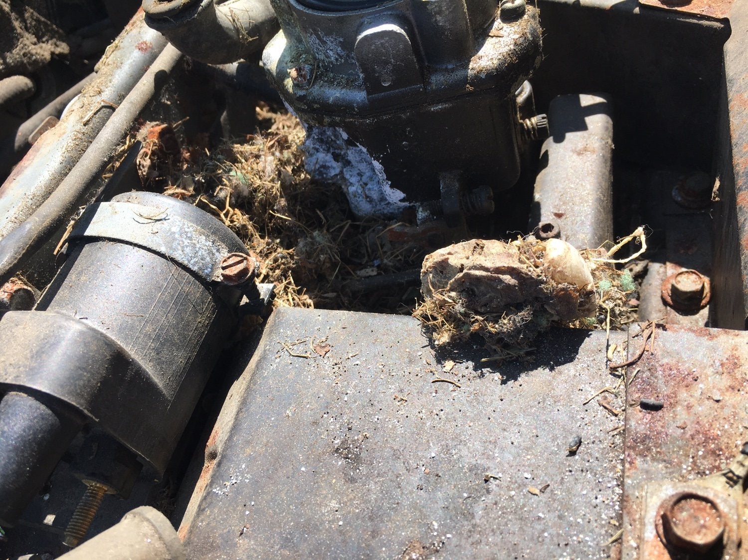 Why do mice like John Deere wires? Green Tractor Talk