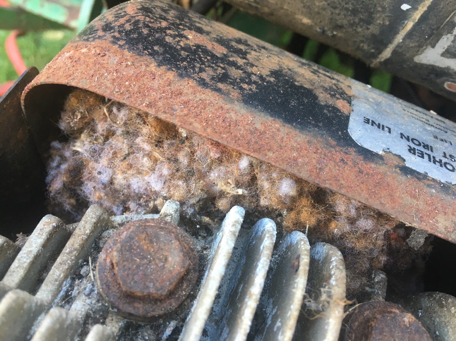 Why do mice like John Deere wires? Green Tractor Talk