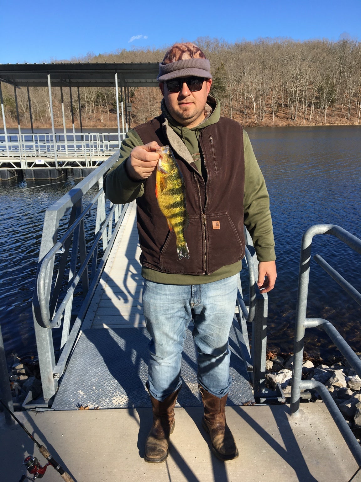 Yellow perch! Missouri Whitetails Your Missouri Hunting Resource