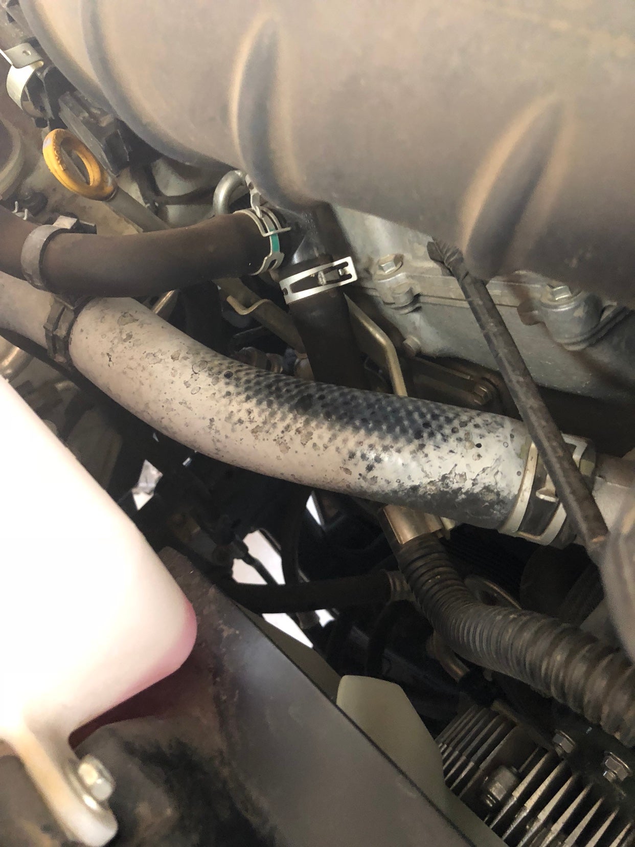Off colored radiator hose Toyota FJ Cruiser Forum