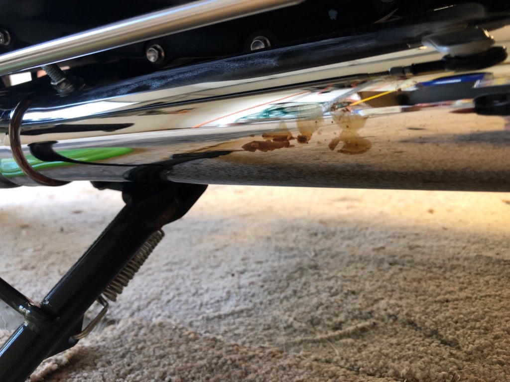 Little help/advice | Triumph Rat Motorcycle Forums