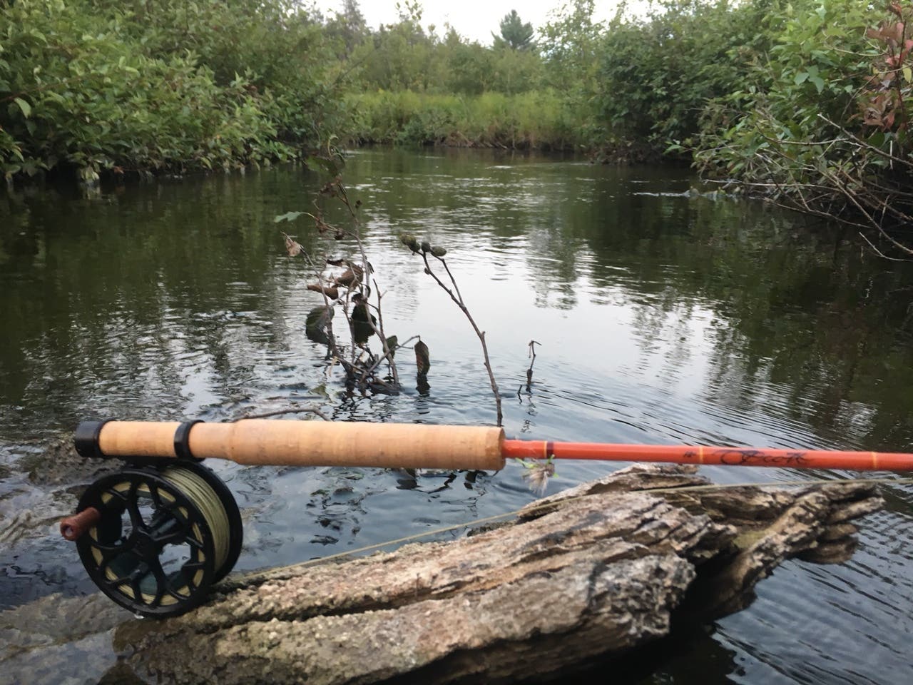 5 foot fly rod? | The Fly Fishing Forum 5 foot fly rod? | The Fly Fishing Forum