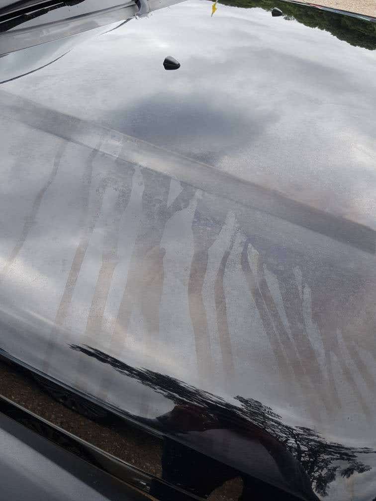 Can I Wash My Car With Fairy Liquid: Safe or Risky? Expert Tips