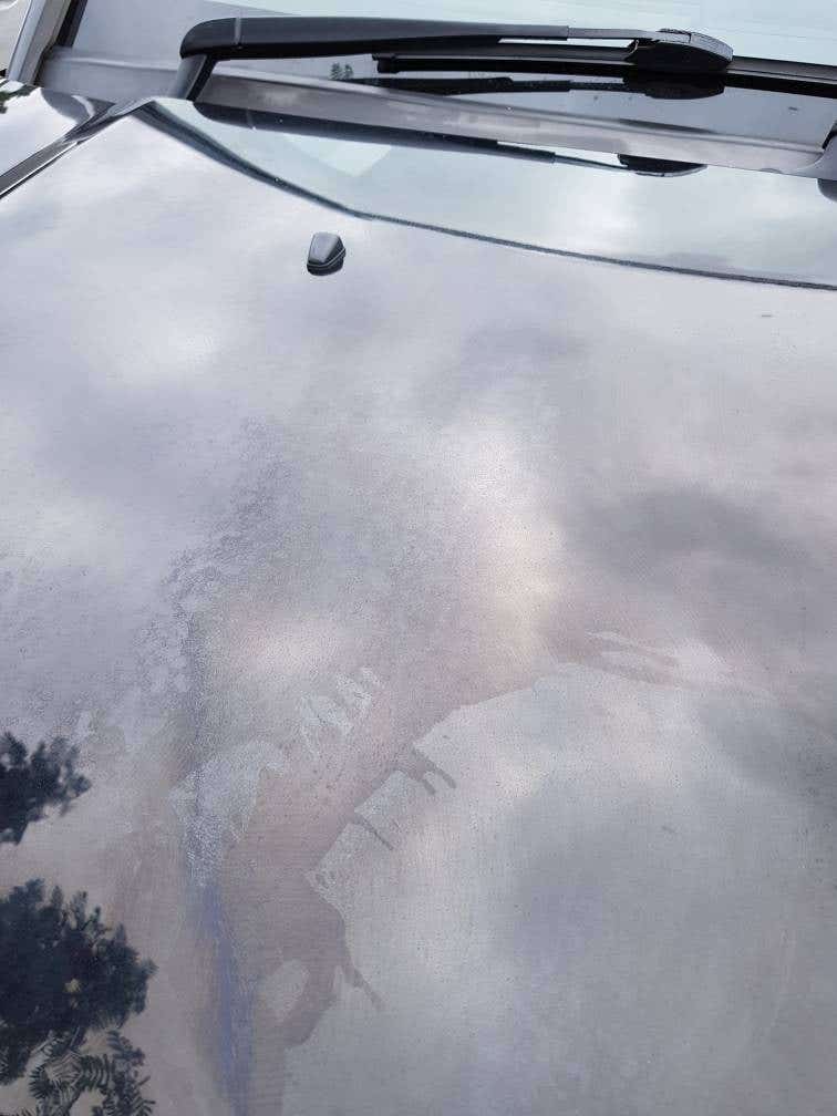 Can I Wash My Car With Fairy Liquid: Safe or Risky? Expert Tips