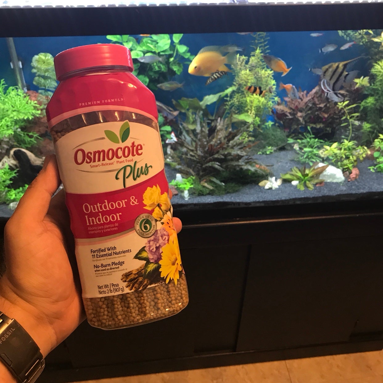 Diy Osmocote Root Tabs at Thomas Delay blog