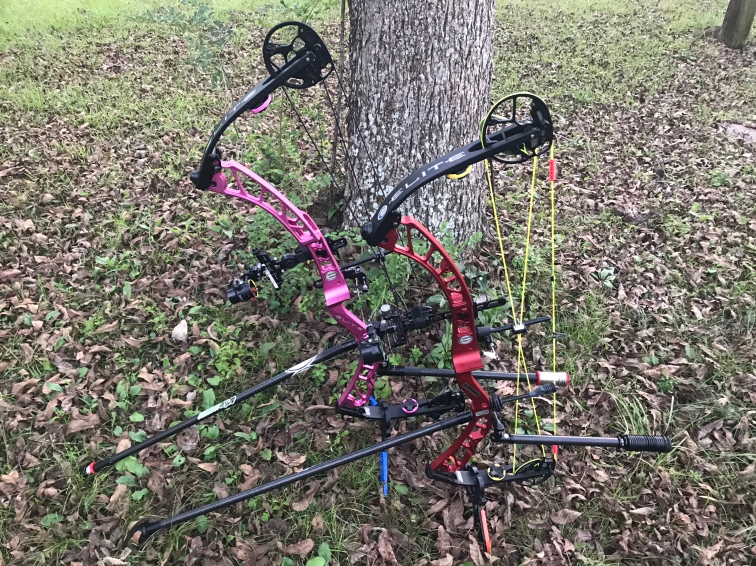 Bow Porn Thread | Page 13 | Archery Talk Forum