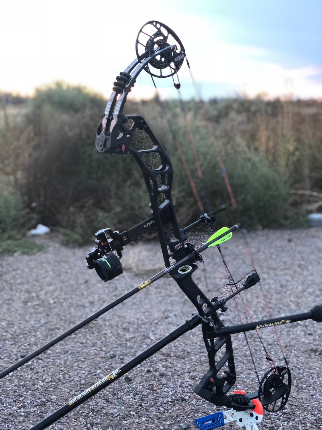 Bow Porn Thread | Page 13 | Archery Talk Forum