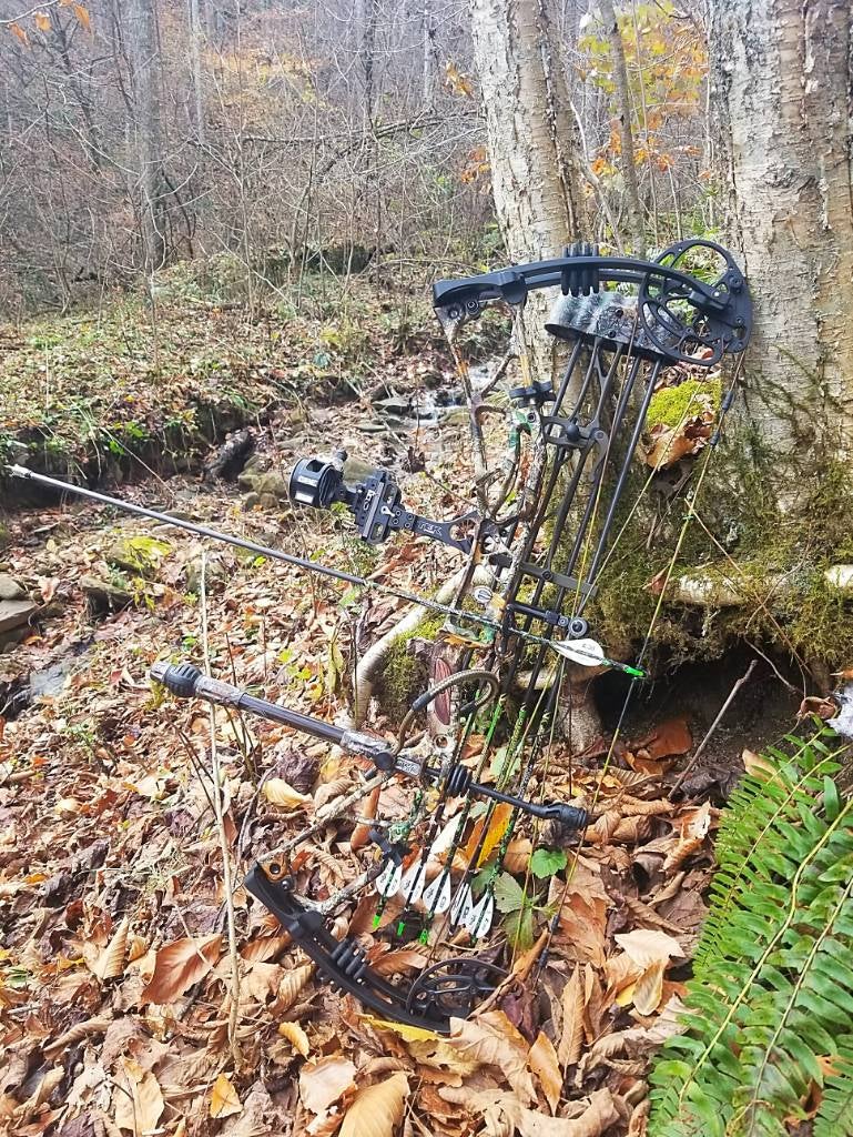 2019 Elite Ritual 30 | Page 5 | Archery Talk Forum