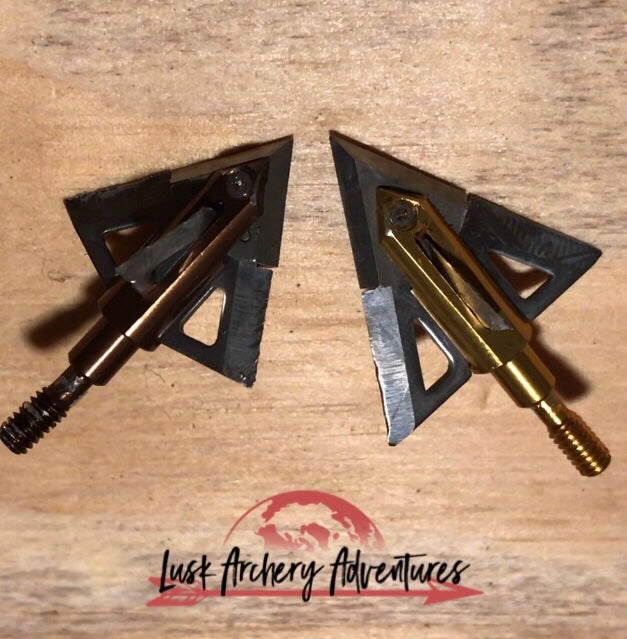Afflictor Broadheads Fixed Blades Archery Talk Forum