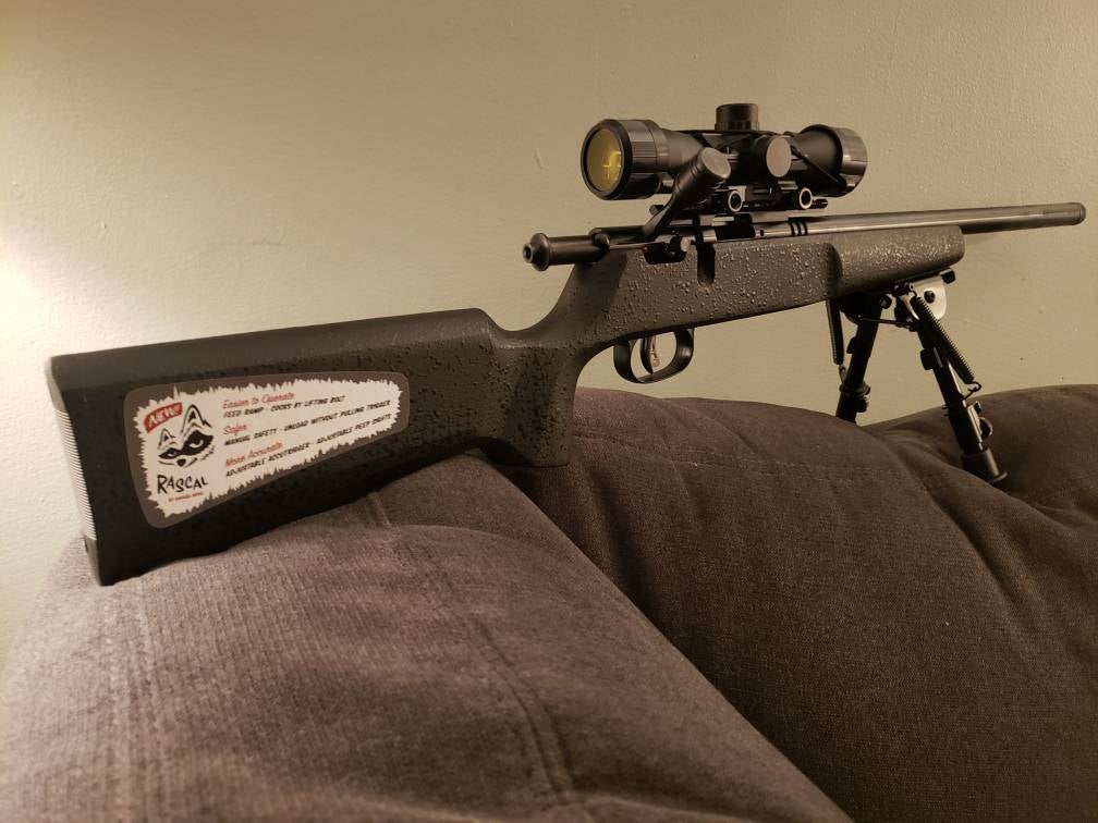 Son's first rifle. Rascal Target XP | Rimfire Central Firearm Forum