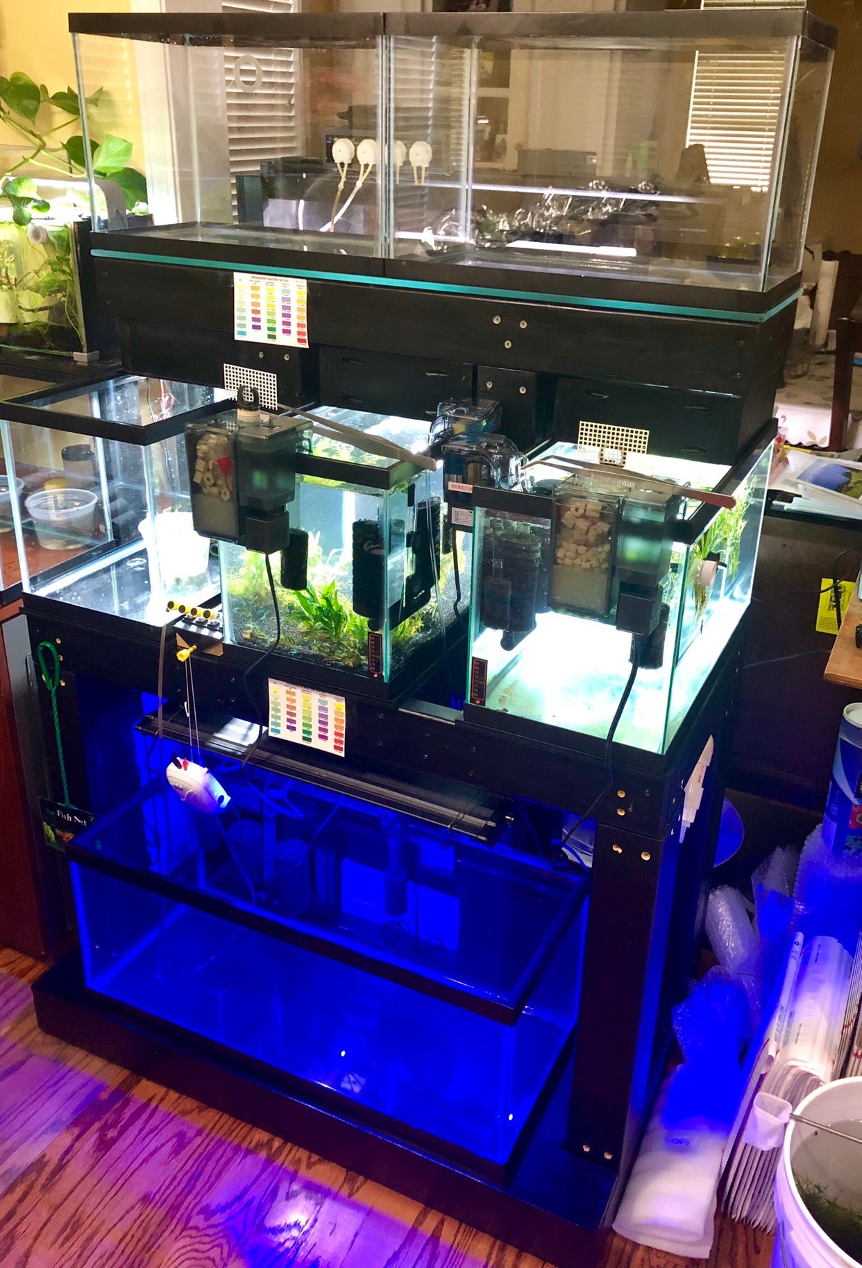 Aquarium Stack | The Planted Tank Forum