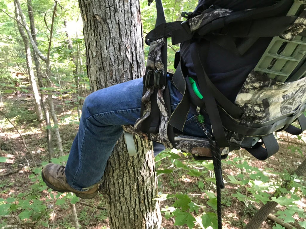 Tree saddle advice. | Archery Talk Forum