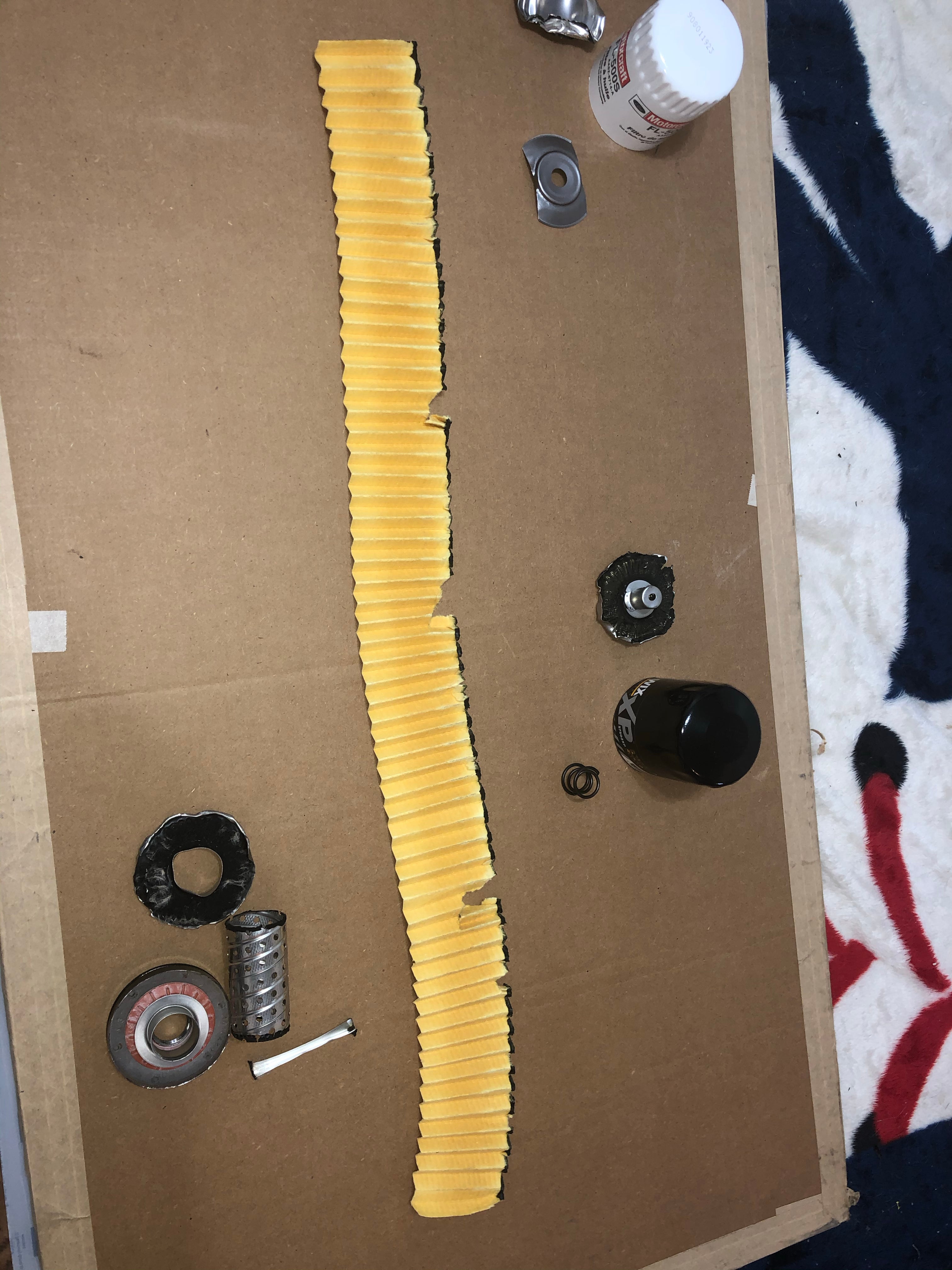 Oil Filter Comparison Motorcraft FL500S vs WIX/XP 57502XP F150