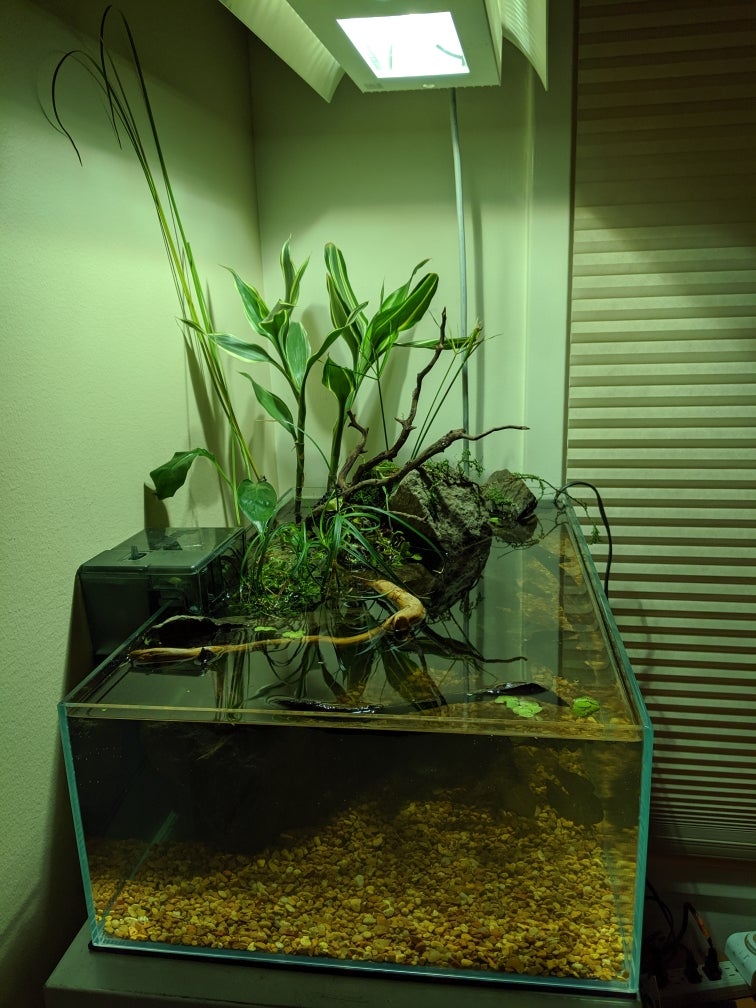 Will an ultrasonic mist maker/fogger harm fish? The Planted Tank Forum