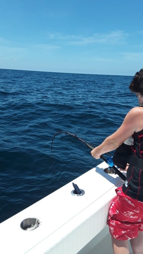 Accurate vs Avet | 2 Cool Fishing Forum Accurate vs Avet | 2 Cool Fishing Forum